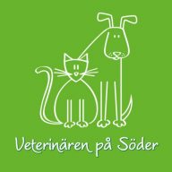 Veterinären på Söder